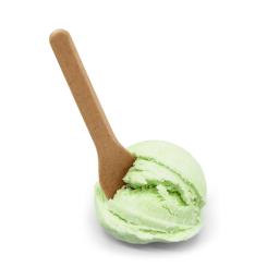 Reusable Bio Eisspaten 9,5 cm 