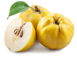 Quittenpüree 100% rein 