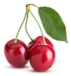 Kirsche Fruchtzubereitung 