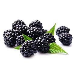 Brombeer-Püree 100% rein 