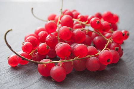 rotes Johannisbeeren-Püree 100% rein 