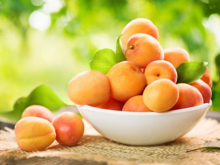 Aprikose Fruchtzubereitung 