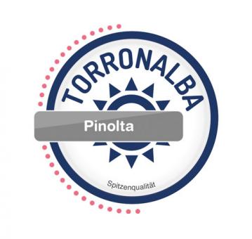 Pinolta 