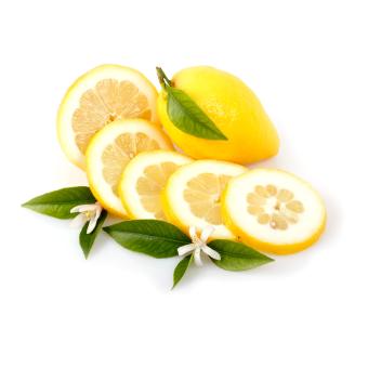 Cedro Fruchtzubereitung 