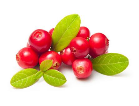 Cranberry-Püree 100% rein 