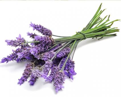 Lavendel Aroma 1 kg natürlich 