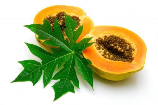 Papaya-Püree 100% rein 